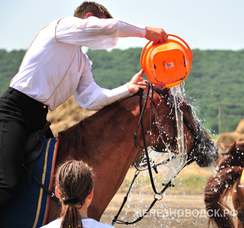 На улице +32, лошади изнемогают и их поливают водой, пить нельзя