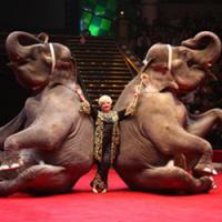 Берегите клоунов