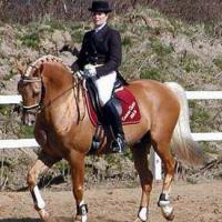 Конные соревнования на «Кубок главы города Пятигорска»