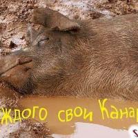 Транзит - интересный подход к Road movie
