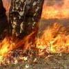 Пожарные не явились по вызову