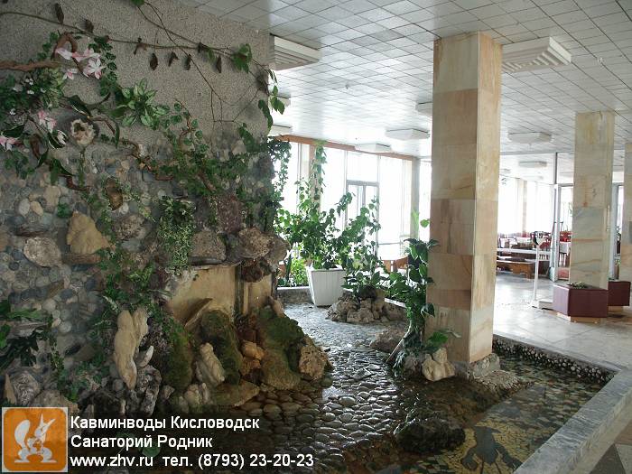      kavminvody-kislovodsk-sanatoriy-rodnik-pict4559