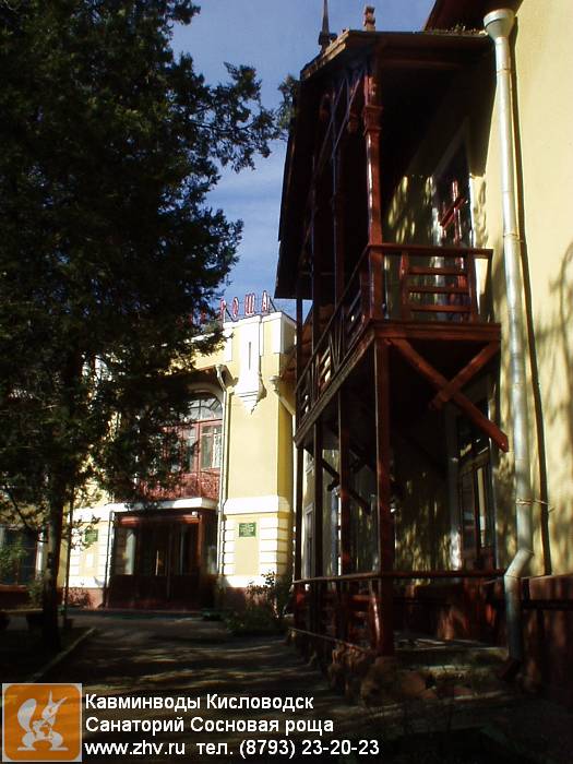 ��������� �������� ���� ���������� ���� � kavminvody-kislovodsk-sanatoriy-sosnovaya-roshcha-sosnovaya-roshcha2