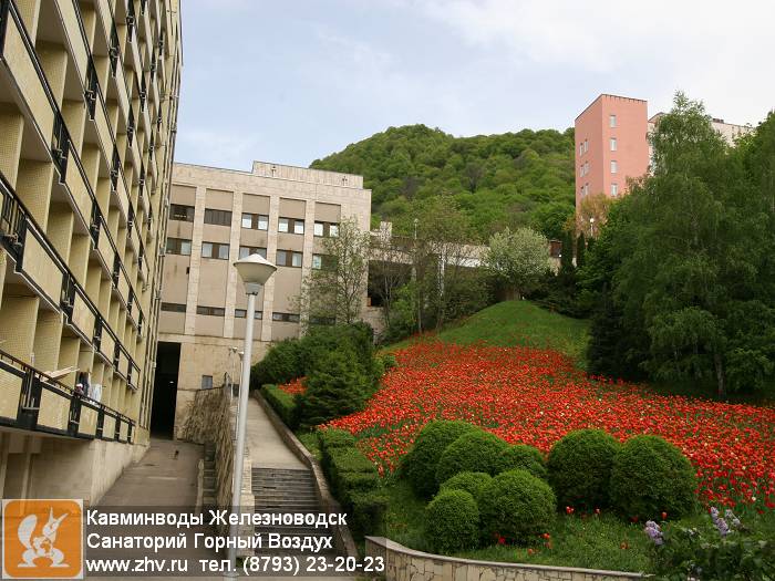       kavminvody-zheleznovodsk-sanatoriy-gornyy-vozdukh-img_6368